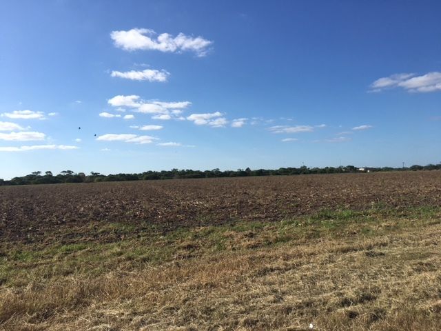 Raymondville Expressway Land: 140 N Expressway 77, Raymondville, TX 78580